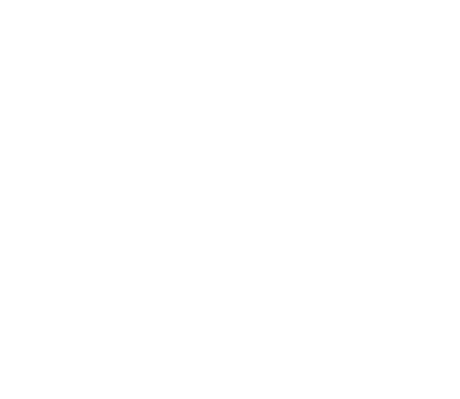 ROBFLY